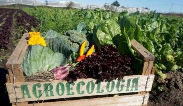 agroecologia