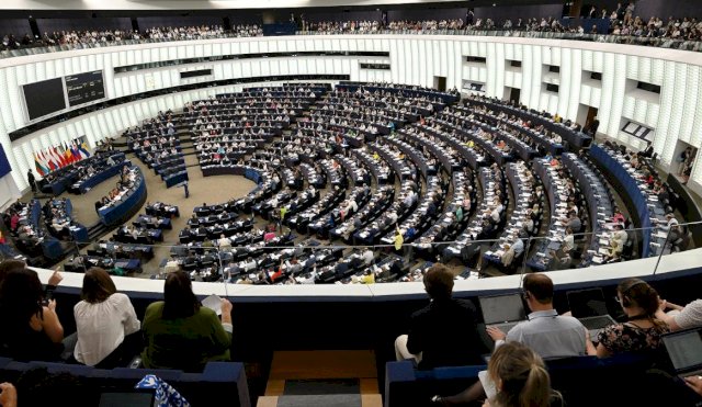 diputados onu