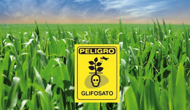 GLIFOSATO