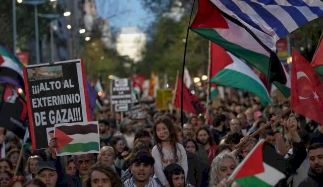 palestinauy