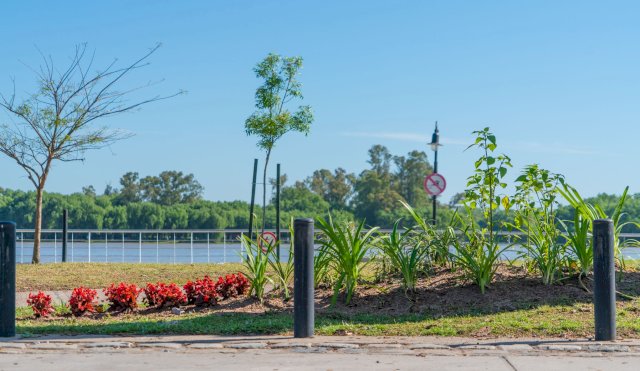 Costanera_Campana_arbolado