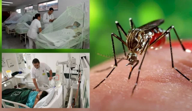 MOSQUITOS COLOMBIA