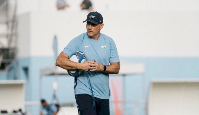 LOS PUMAS 