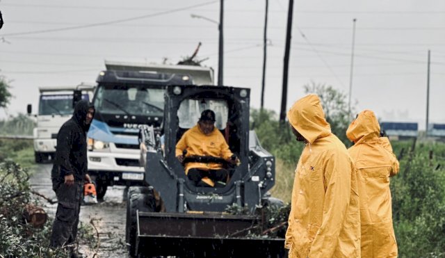 campana_temporal_trabajos