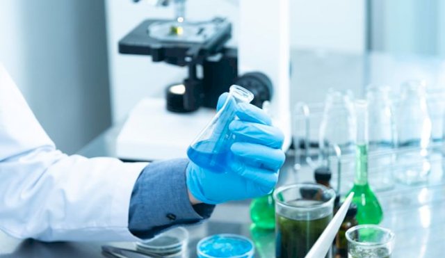 Digoxina o el fármaco para enfermedades cardiacas que corrige la obesidad en ratones