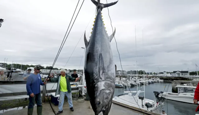 ATUN RECORD