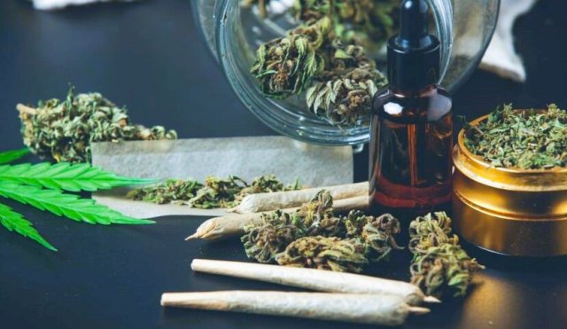 cannabis 