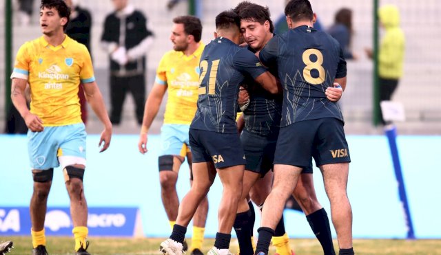 LOS PUMAS 